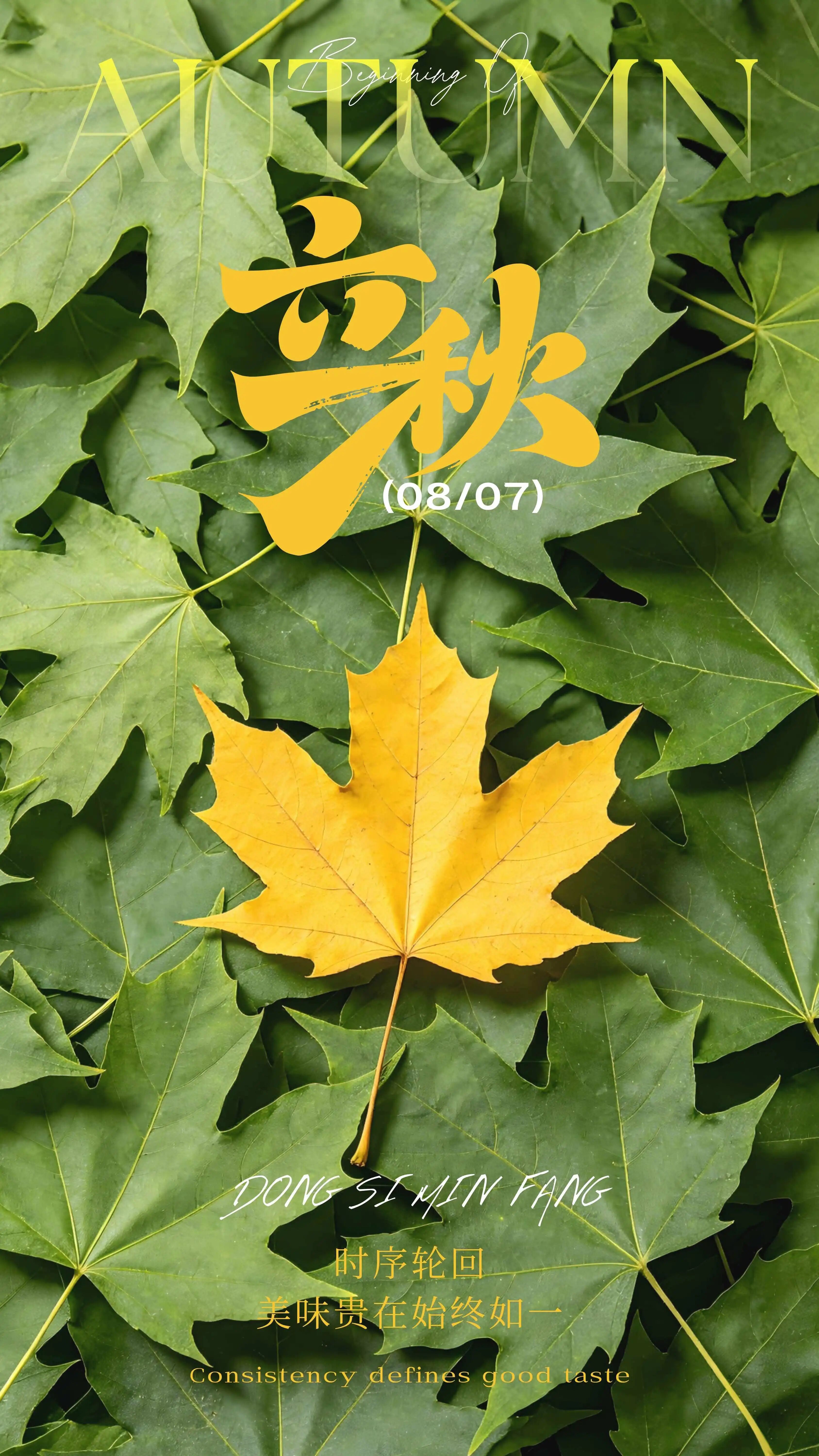 微信图片_2026-08-06_135318_819.jpg